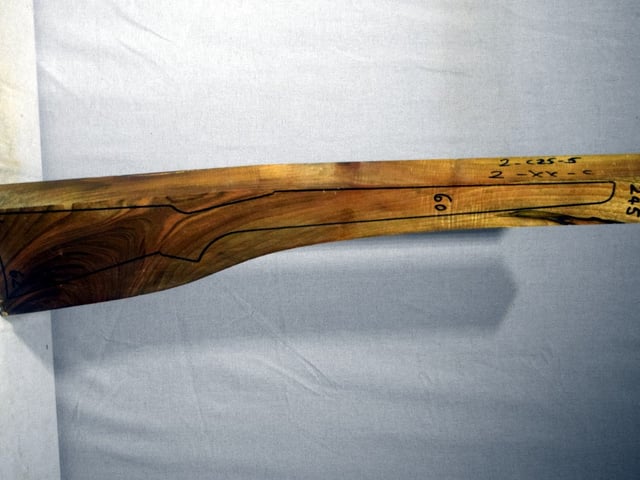 Right side of TR245 stockwood blank