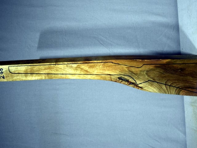 Left side of TR245 stockwood blank