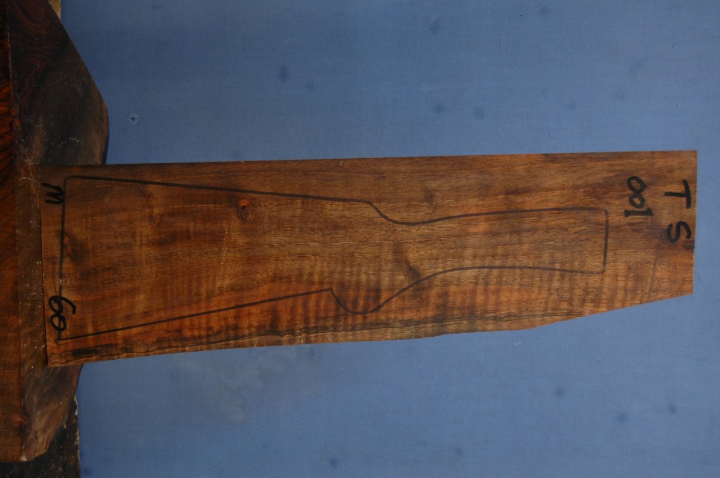 Right side of TS 001 stockwood blank