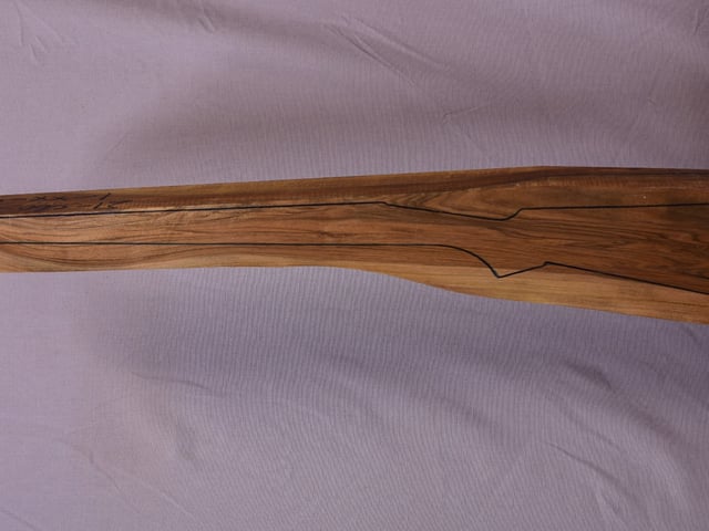 Left side of TR 199 stockwood blank