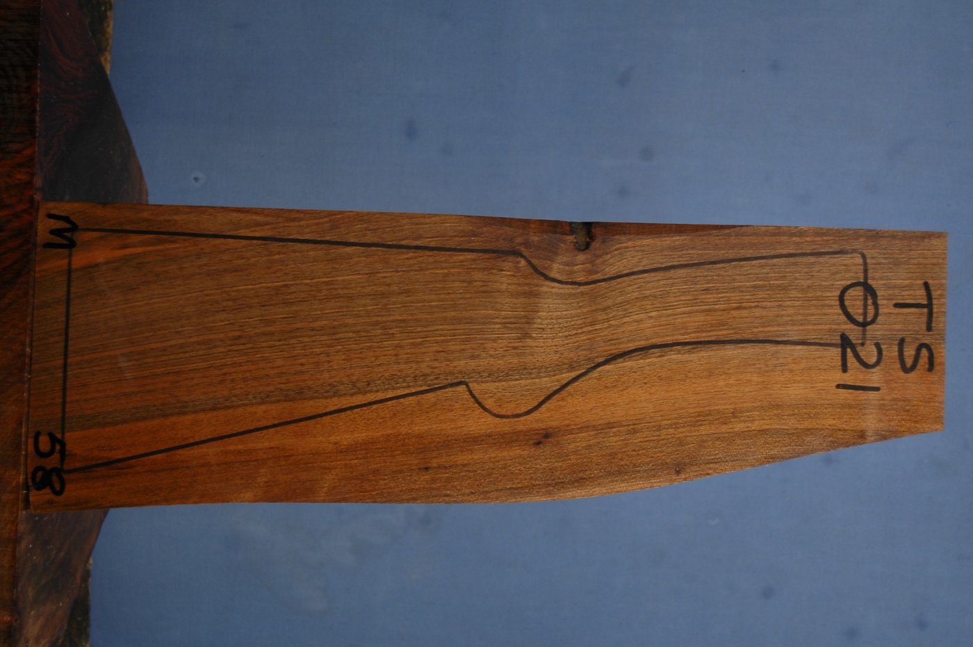 Right side of TS 021 stockwood blank