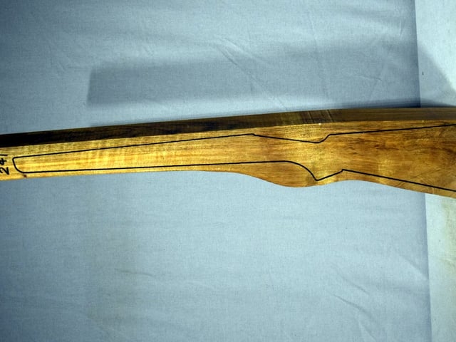 Left side of TR241 stockwood blank