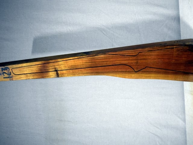 Left side of VR123 stockwood blank