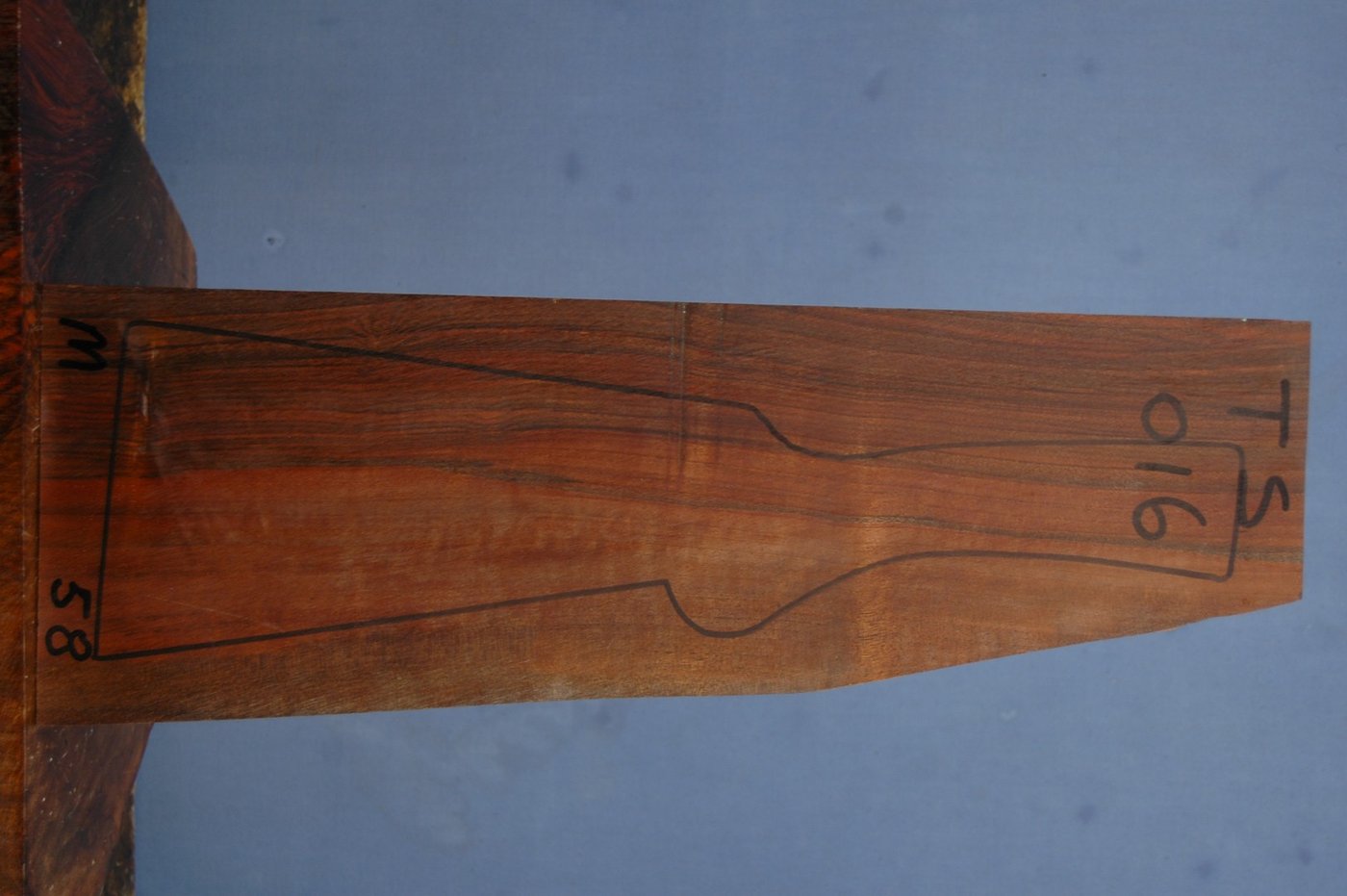 Right side of TS 016 stockwood blank