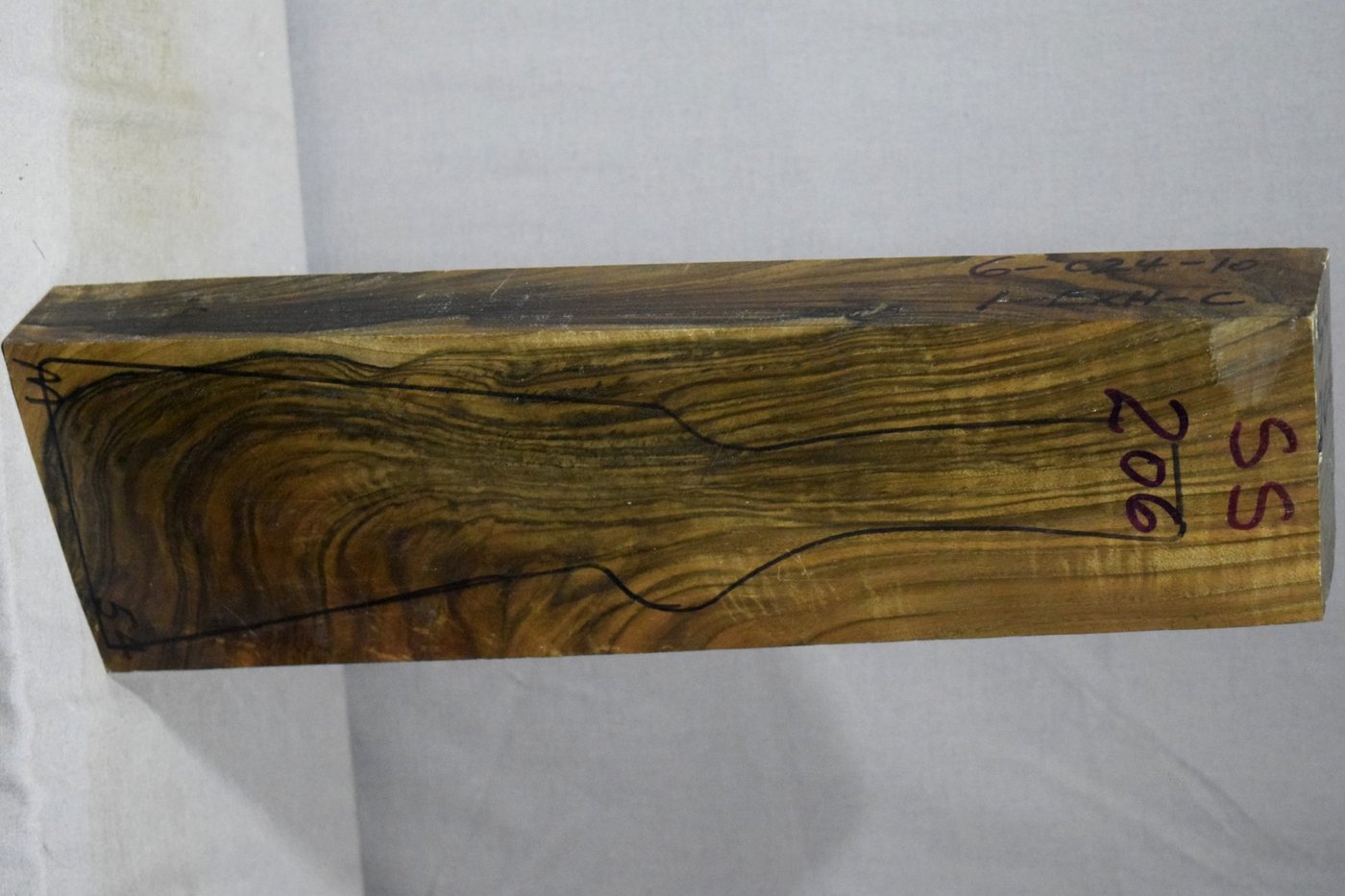 Right side of SS 206 stockwood blank