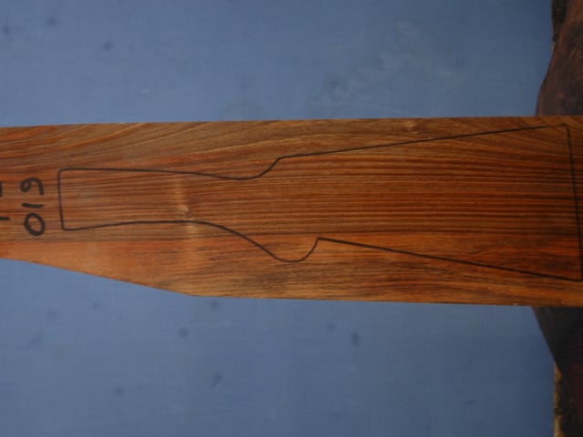 Left side of TS 019 stockwood blank