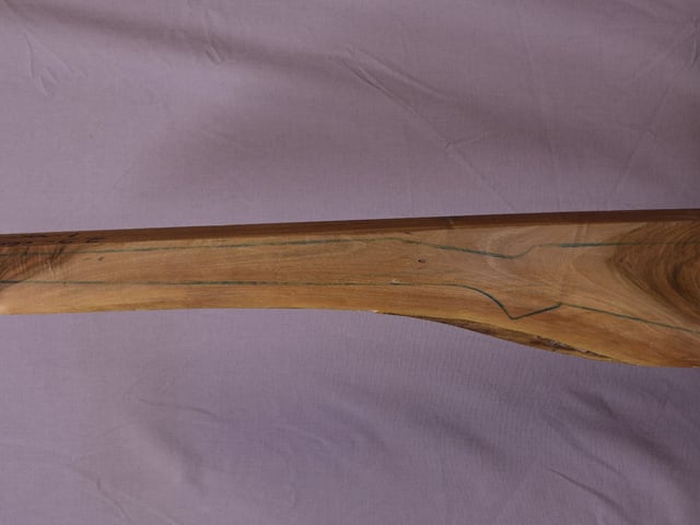 Left side of TR 203 stockwood blank