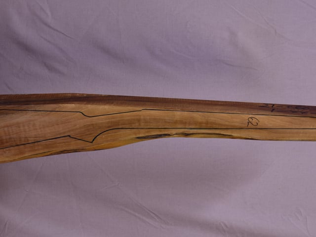Right side of TR 199 stockwood blank