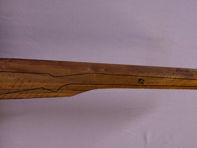Right side of TR 100 stockwood blank