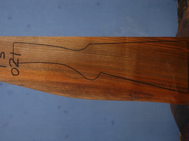 Left side of TS 021 stockwood blank