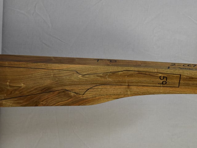 Right side of NTD 017 stockwood blank