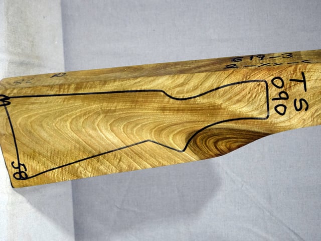 Right side of TS 090 stockwood blank