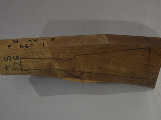 Left side of TS 176 stockwood blank
