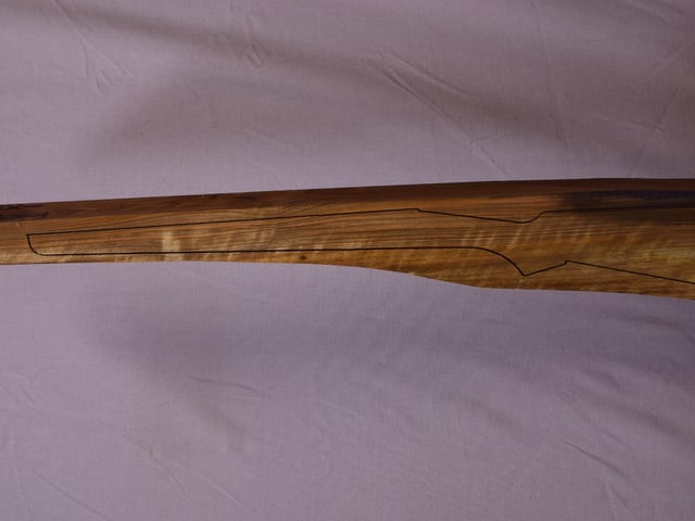 Left side of TR 232 stockwood blank