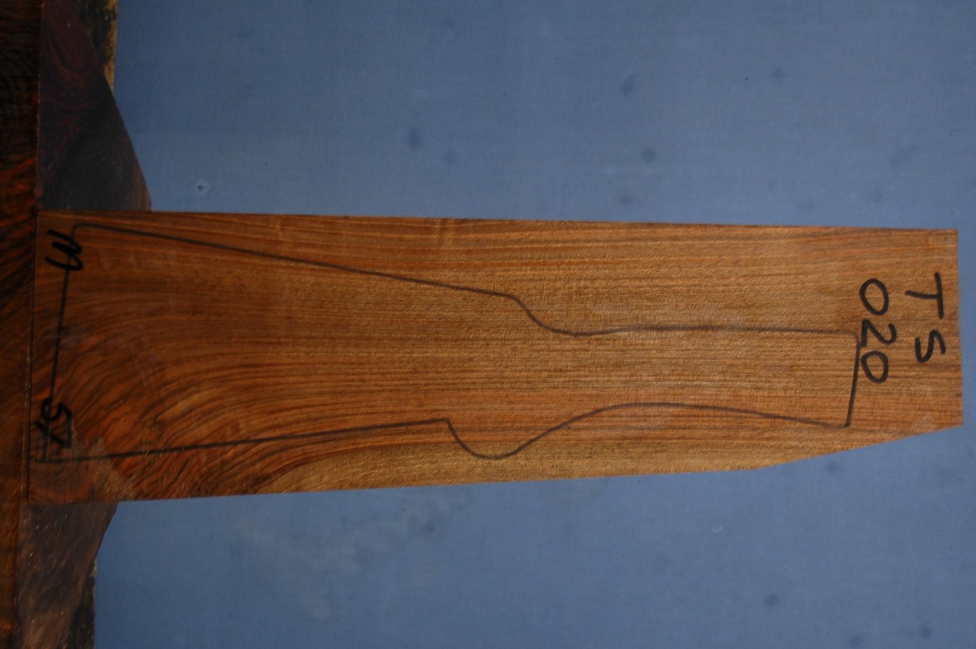 Right side of TS 020 stockwood blank