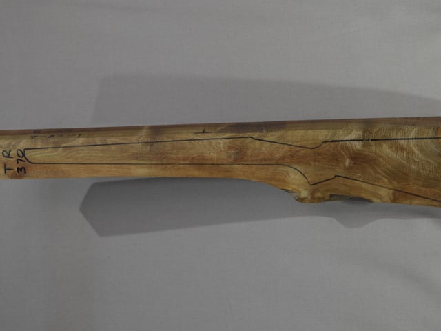 Left side of TR 370 stockwood blank