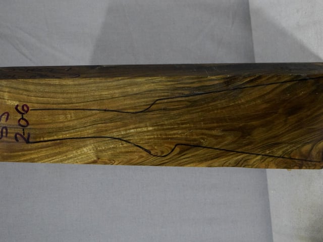 Left side of SS 206 stockwood blank
