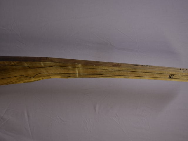 Right side of TM 008 stockwood blank
