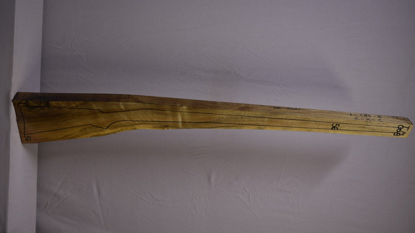 Right side of TM 008 stockwood blank