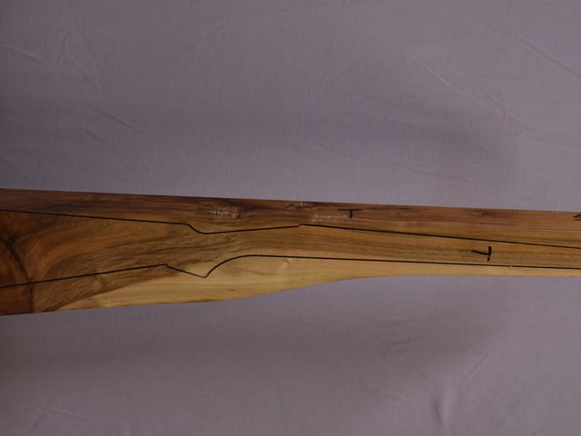 Right side of NR 163 stockwood blank