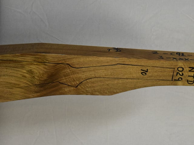 Right side of NTD 029 stockwood blank