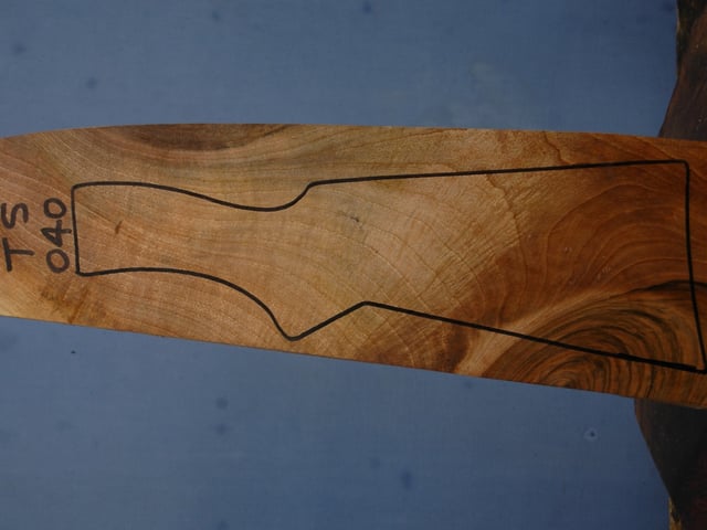 Left side of TS 040 stockwood blank