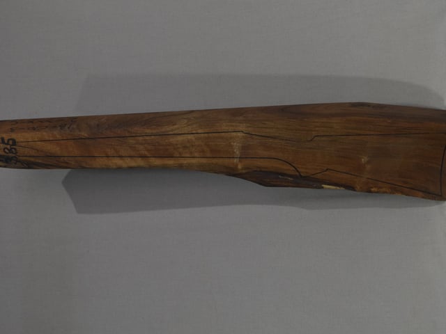 Left side of TR 385 stockwood blank