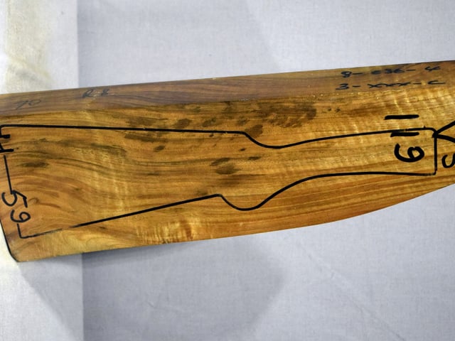 Right side of VS 119 stockwood blank