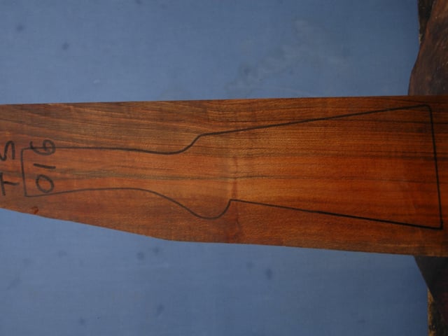 Left side of TS 016 stockwood blank