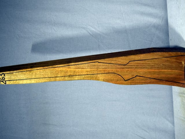 Left side of TR263 stockwood blank