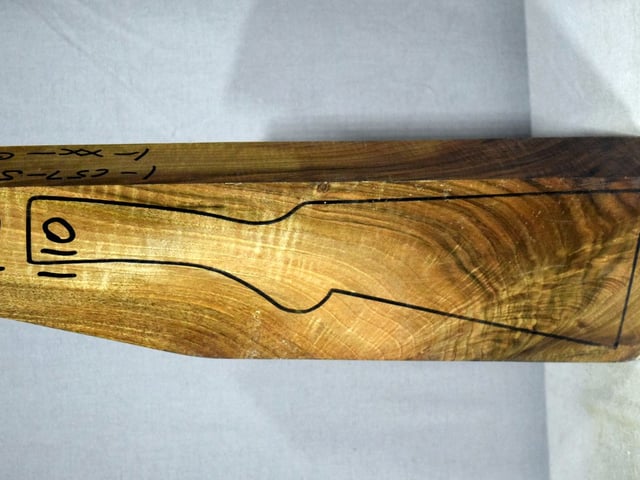 Left side of TS 110 stockwood blank