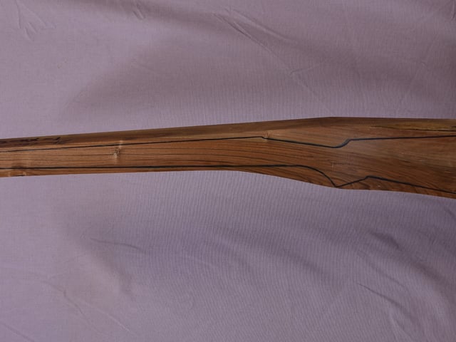 Left side of TR 198 stockwood blank