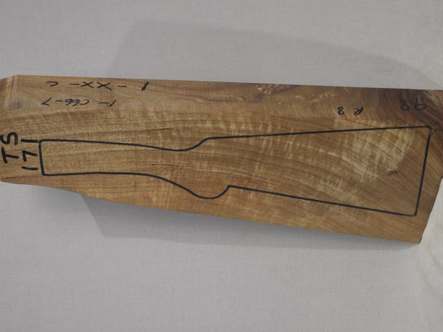Left side of TS 171 stockwood blank