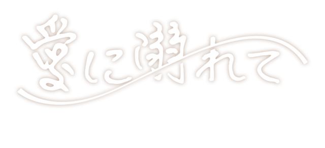 hero banner title image 2