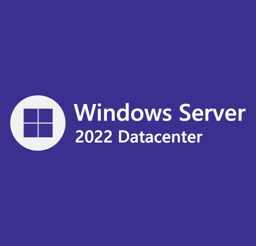 [Retail] Windows Server 2022 Datacenter 2 User Online