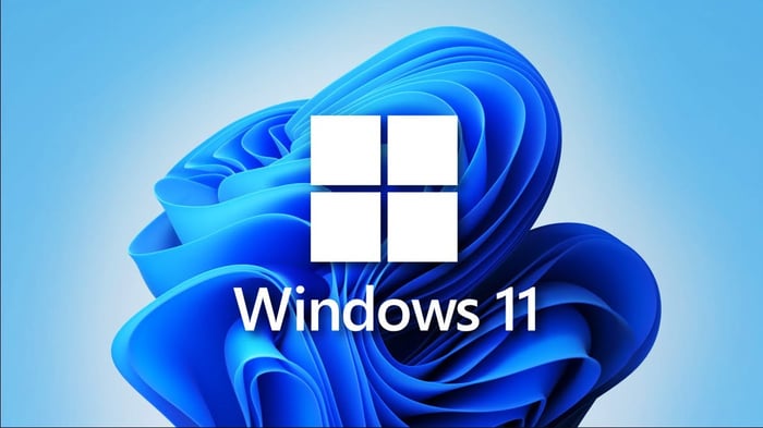 Windows 11 Pro (5 PC)