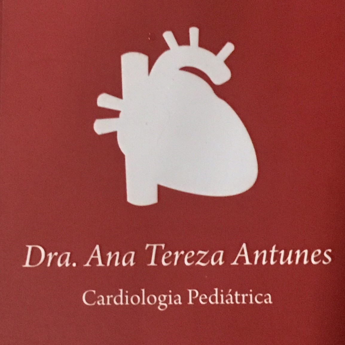 Imagem de perfil do usuário Ana Tereza Antunes Monteiro de Souza