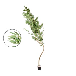 ÁRVORE BAMBU MOSSÔ 2,50 M COM VASO
