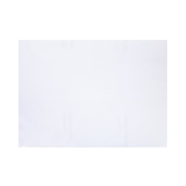 POLI 49X69 CM TRANSPARENTE