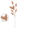 HASTE CAPIM DOS PAMPAS 68 CM 