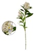 HASTE FLOR DO CAMPO X2 30 FLORES 70 CM COM SEMENTES