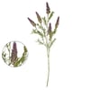 HASTE LAVANDA X5 70 CM COM FOLHAS