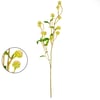 HASTE SEMENTES 66 CM COM FOLHAS