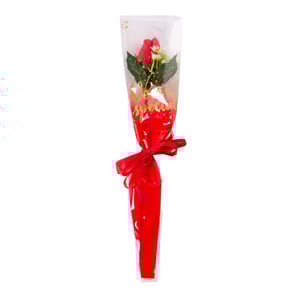 BOTÃO DECORADO 47 CM COM LAÇO RAFIA