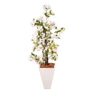 ARRANJO INT.1 ÁRVORE TRÊS MARIAS 1,35 CM VASO MADEIRA BRANCO