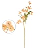 HASTE MIRTA X2 34 FLORES OUTONAL