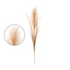 HASTE CAPIM DOS PAMPAS 48 CM