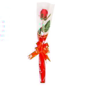 BOTÃO DECORADO 48 CM COM LAÇO FÁCIL