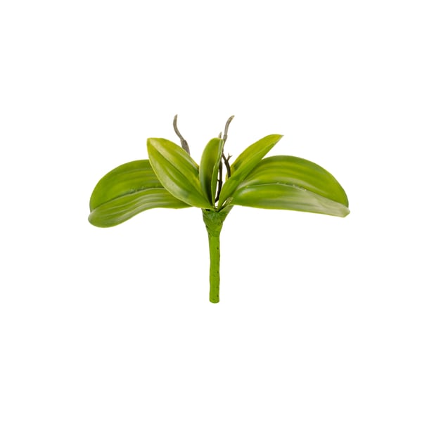 FOLHA ORQUÍDEA X5 22 CM COM RAÍZ SILICONADA