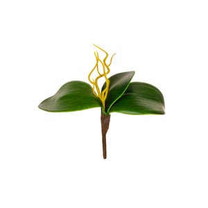 FOLHA ORQUÍDEA X3 20 CM COM RAÍZ